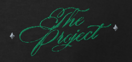 Camiseta Boxy Custom Logo Grande